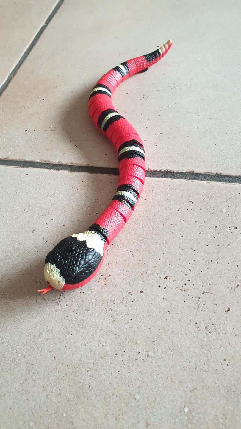 Customer photo review of Smart Sensing Snake