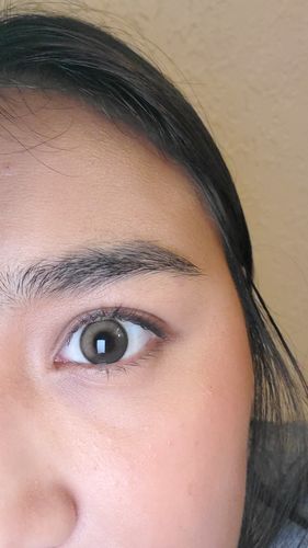 Customer photo review of Secretive Kristin 1Day - Antique Brown