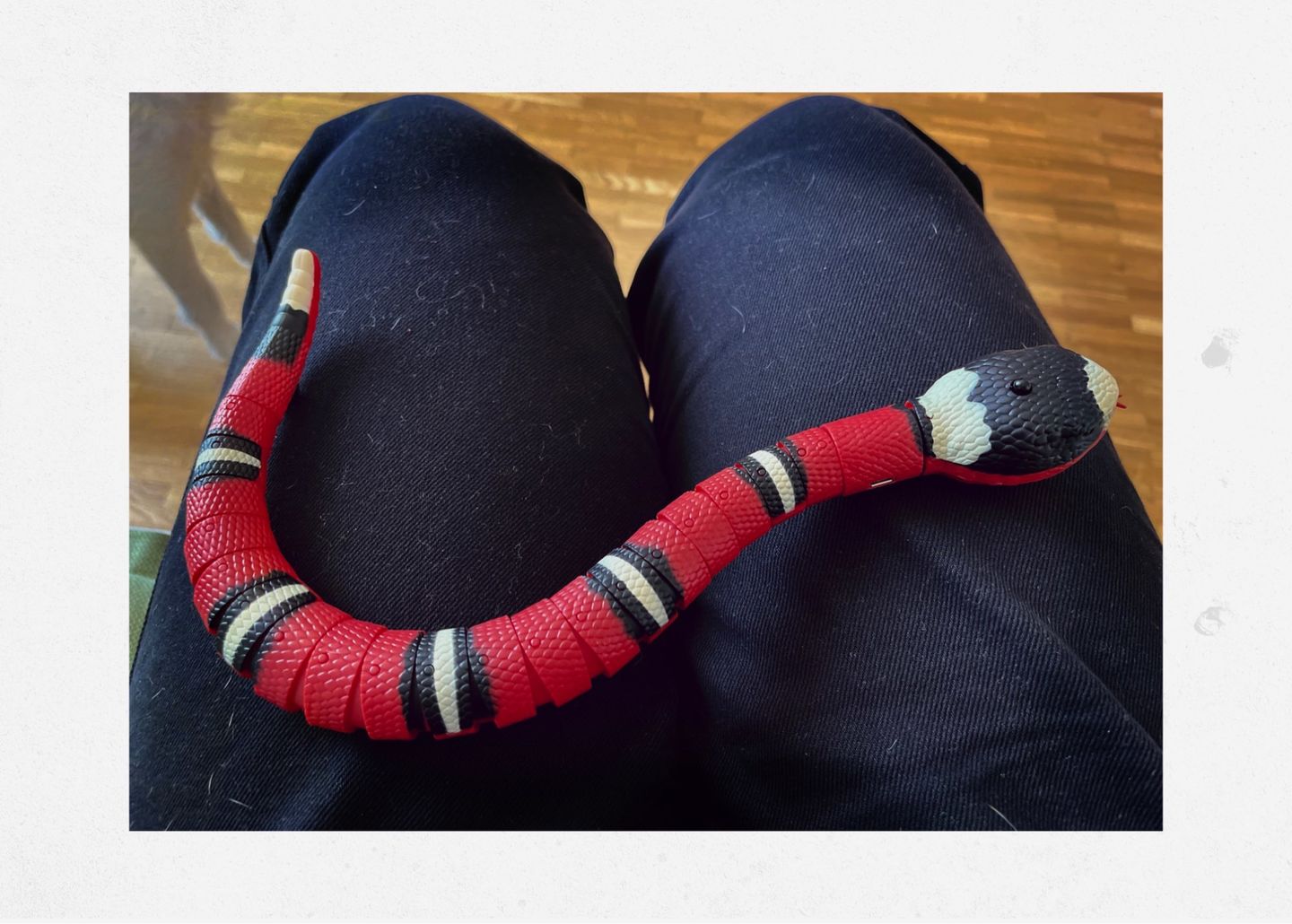 Customer photo review of Smart Sensing Snake
