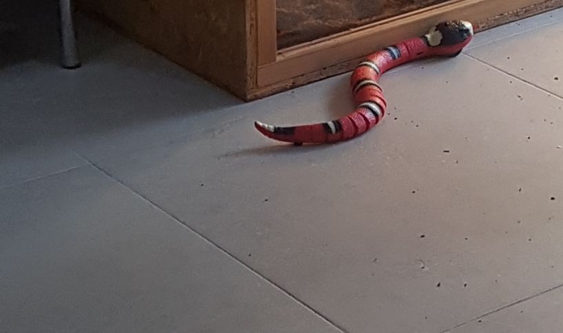 Customer photo review of Smart Sensing Snake
