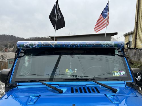 Customer photo review of Sugar Skull Designs Light Bar Insert