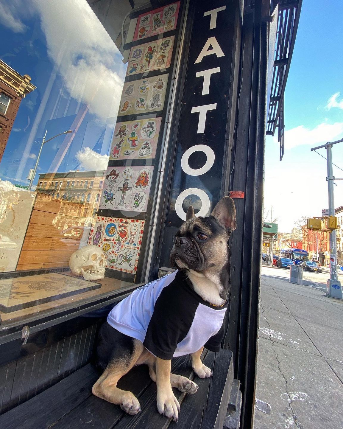 Customer photo review of Motorhound Raglan Dog Tee