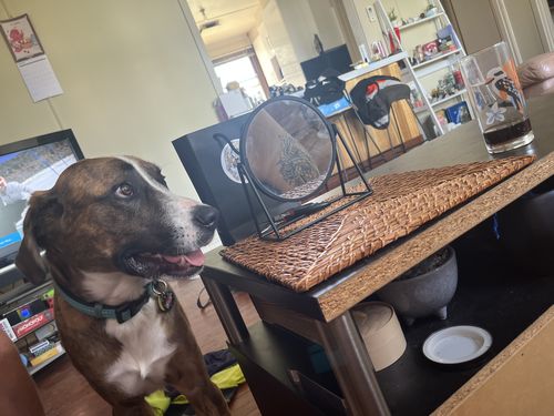 Customer photo review of Mixed 3-Pack + FREE T-SHIRT