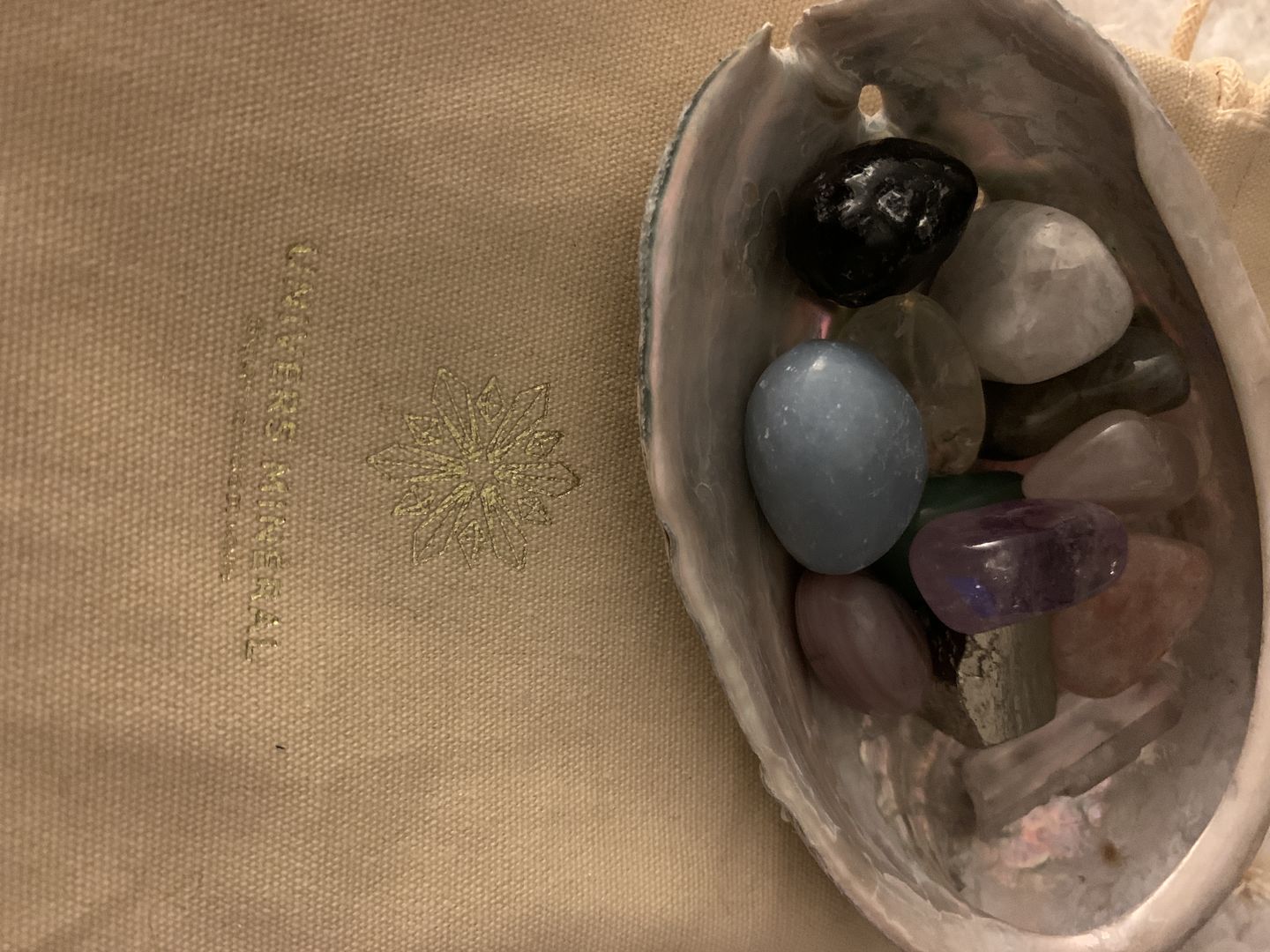 Customer photo review of Abalone naturel (Ormeau)