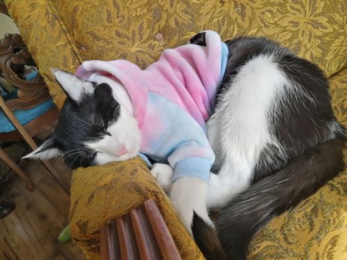 Customer photo review of Pink and Blue Sky Dye Human Hoodie (Matching)