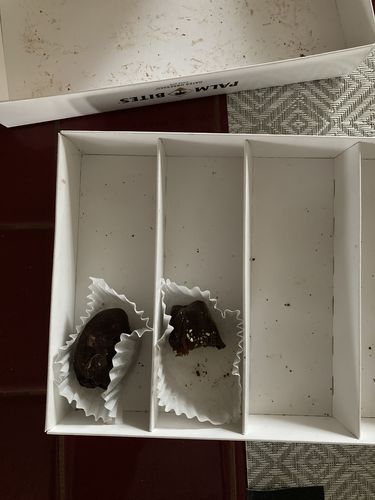 Customer photo review of Nut Butter Palm Bites | Variety Pack