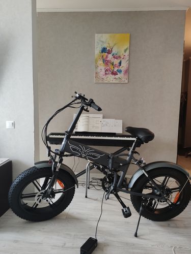 Customer photo review of [ Pre-sale ] Engwe EP-2 Pro 2022 Version 750W Folding Fat Tire Electric Bike 13Ah 35km/h 100km