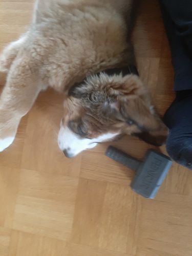 Customer photo review of The Fenrir Hammer