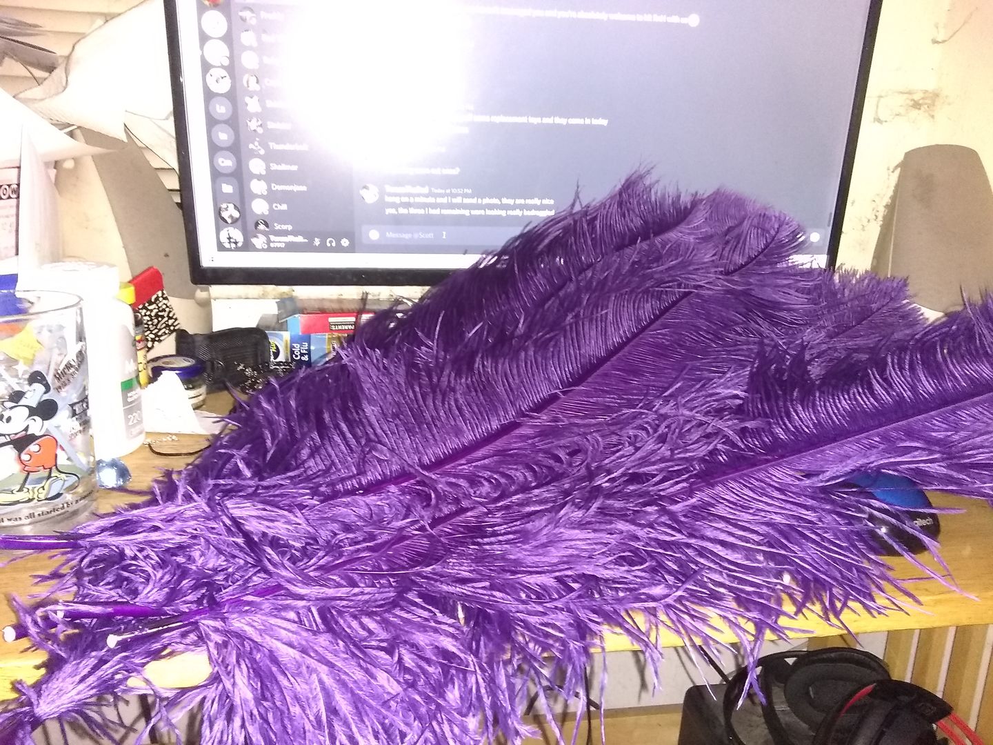 Customer photo review of Ostrich Wing Feathers | Ostrich Plumes