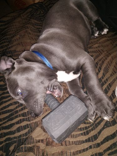 Customer photo review of The Fenrir Hammer