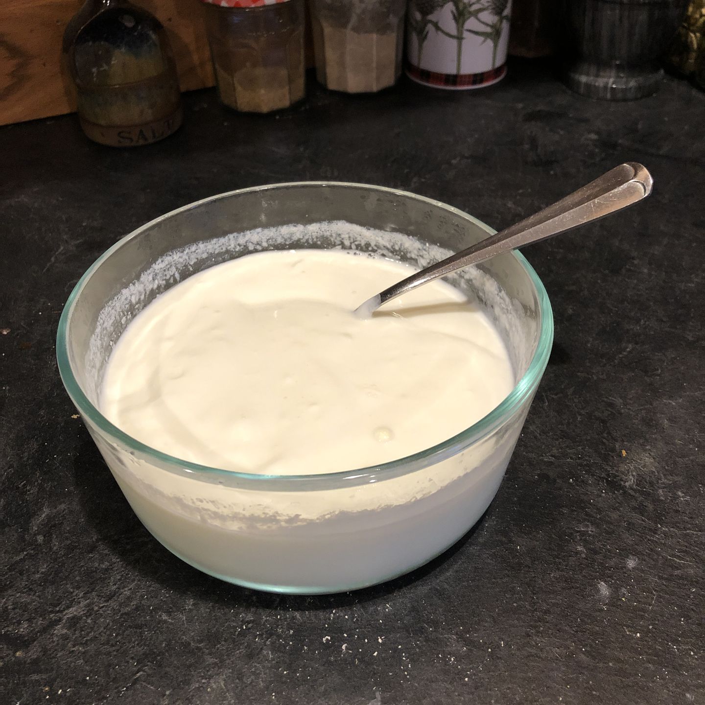 Customer photo review of Indian Style Yogurt (Dahi) Culture - YO-MIX 900 LYO 50 DCU