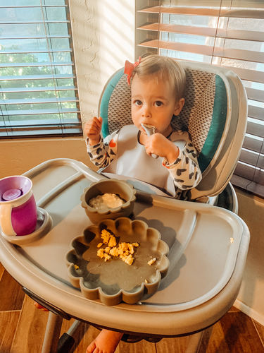 Customer photo review of Silicone Bowl - Lion