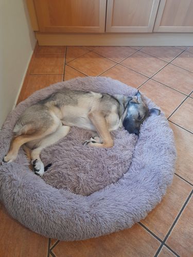 Customer photo review of Puppery Kuschelbett - Das Original