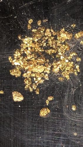 Customer photo review of Treasure Paydirt Surprise '300 GRAM GOLD HUNT' - Gold Paydirt Panning Concentrates