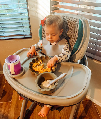 Customer photo review of Silicone Plate - Lion