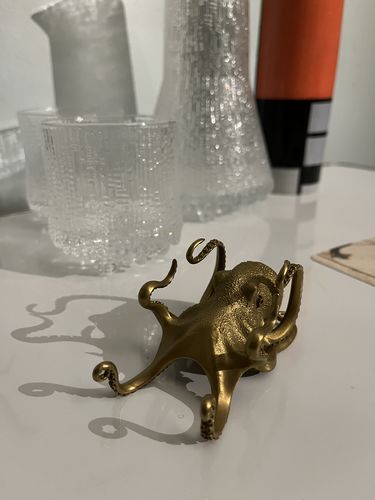 Customer photo review of Octopus Phone Holder | Bronze
