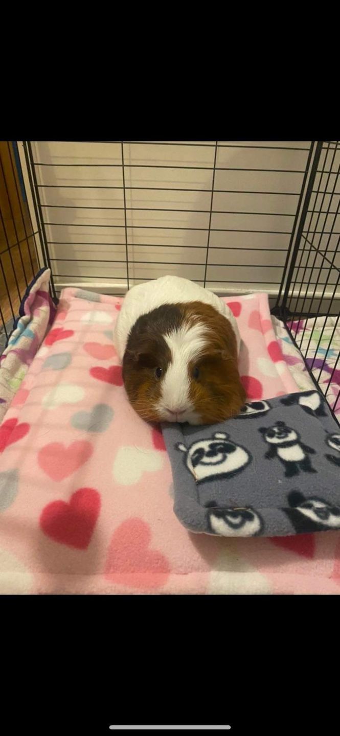 Customer photo review of Hearts on Baby Pink Anti Pill Polar Fleece Fabric
