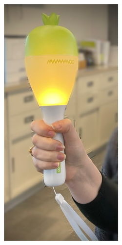 Customer photo review of Official Mamamoo Lightstick Ver 2.5