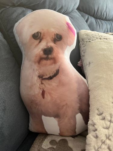 Customer photo review of Create A Custom Object Pillow