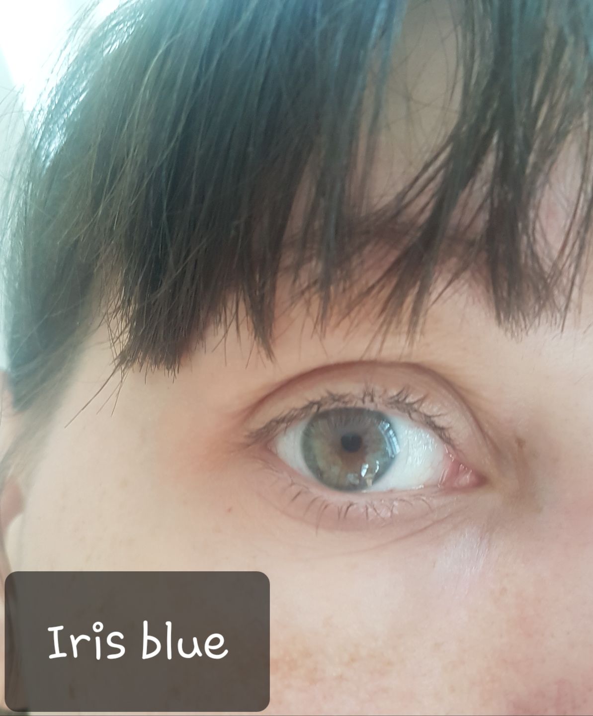 Customer photo review of Siesta Crystal Iris Blue