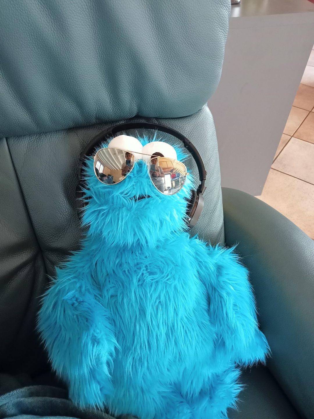 Customer photo review of Cookie Monster Marionnette Sesame Street
