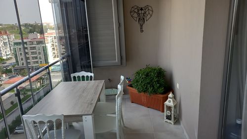 Customer photo review of Elephant