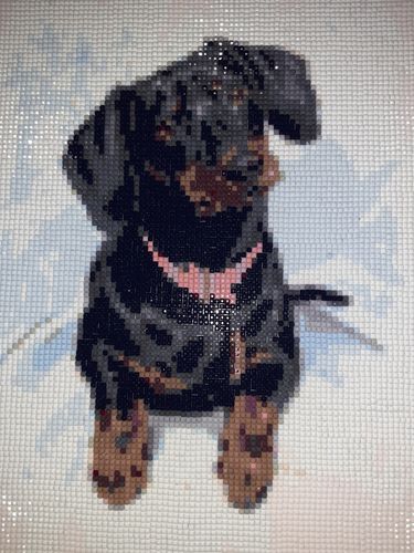 Customer photo review of American Diamond Art Snow In The Dog Diamond Painting PL00111