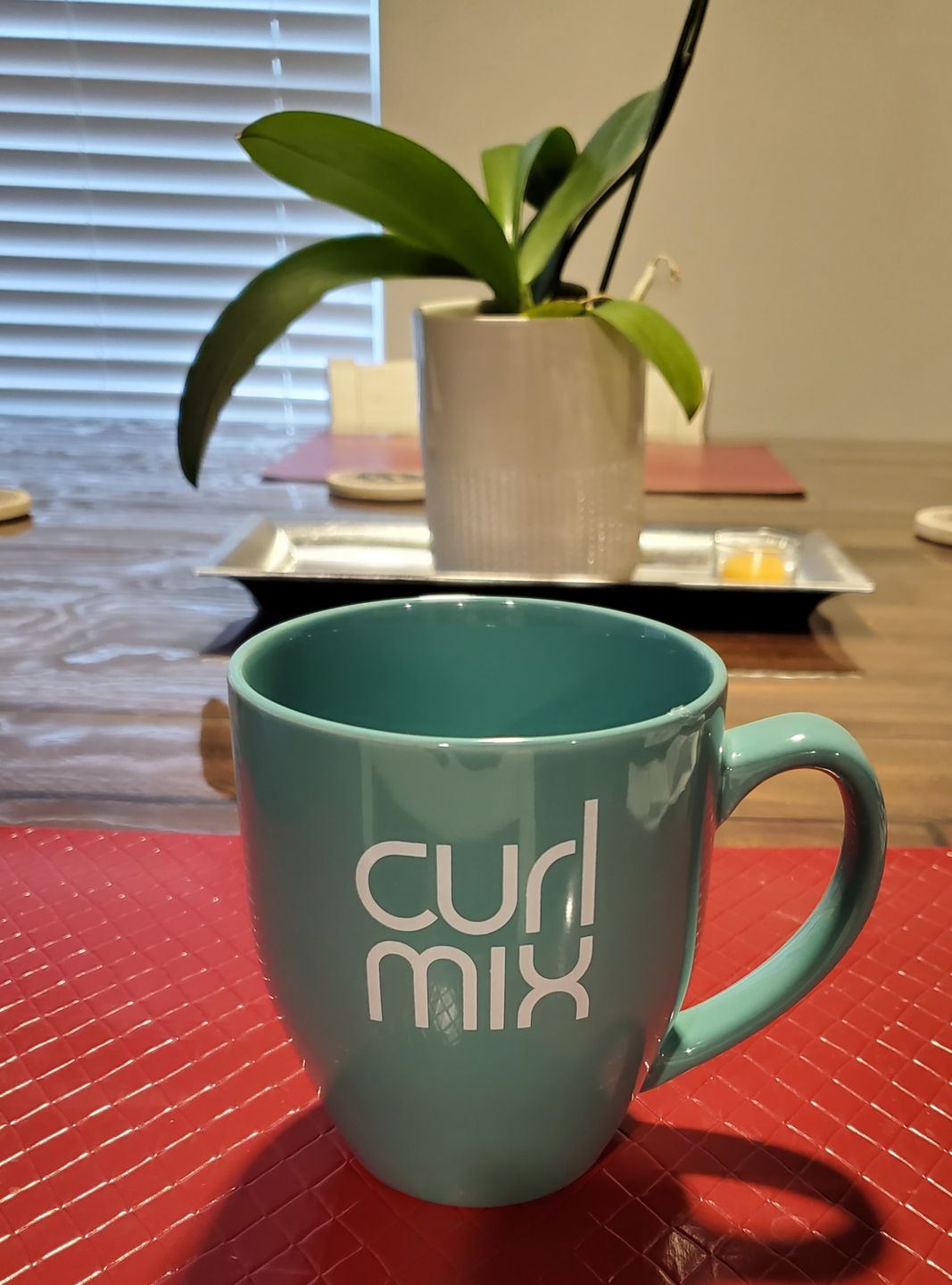 Customer photo review of CurlMix Logo Mug