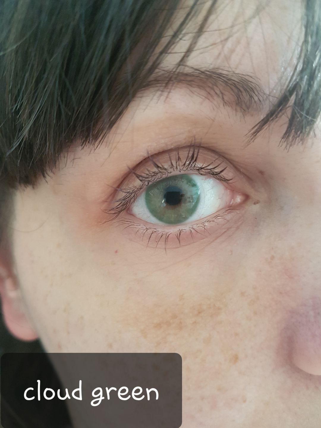 Customer photo review of Siesta Black Cloud Green