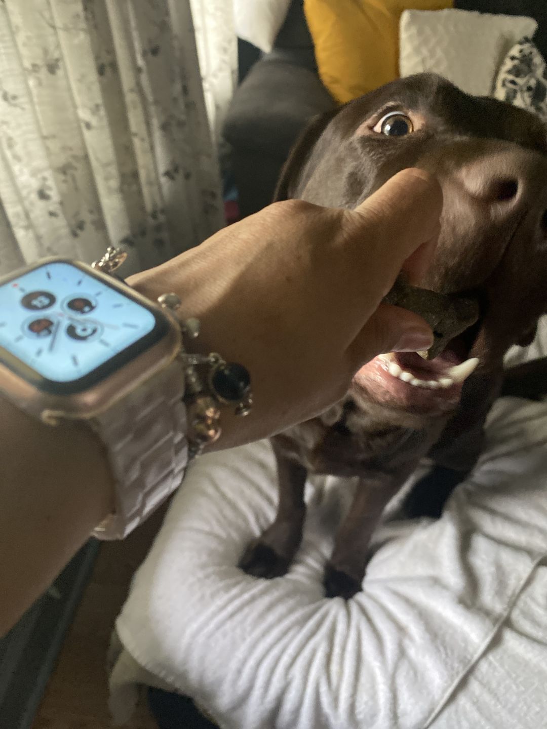 Customer photo review of Aegis Silicone Watch Case (5 Colours)