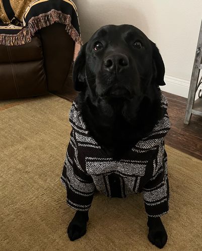 Customer photo review of Playa Poncho