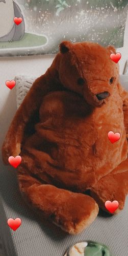 Customer photo review of SKOGGY BEAR