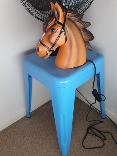 Customer photo review of Horse Table Lamp Night Light