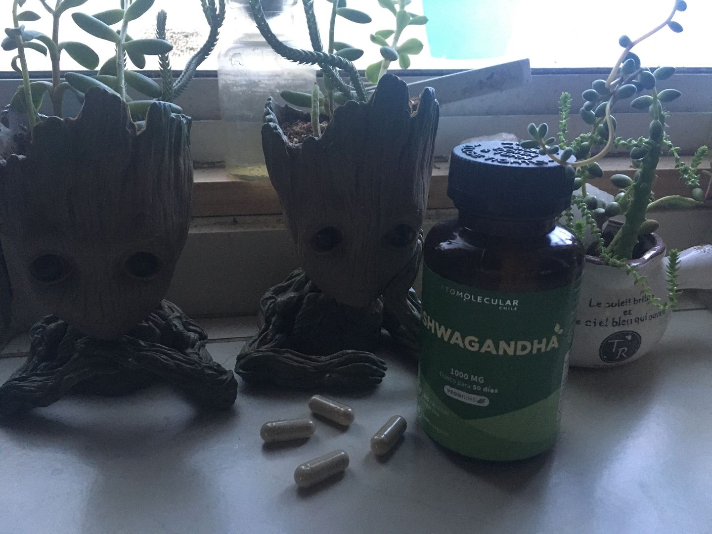 Customer photo review of Releaf-100 cáps