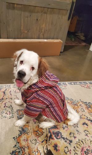 Customer photo review of Playa Poncho