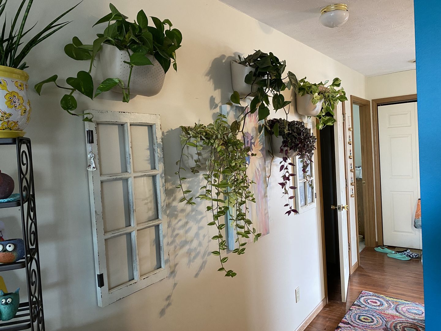Customer photo review of Eco Oat Wall Planter