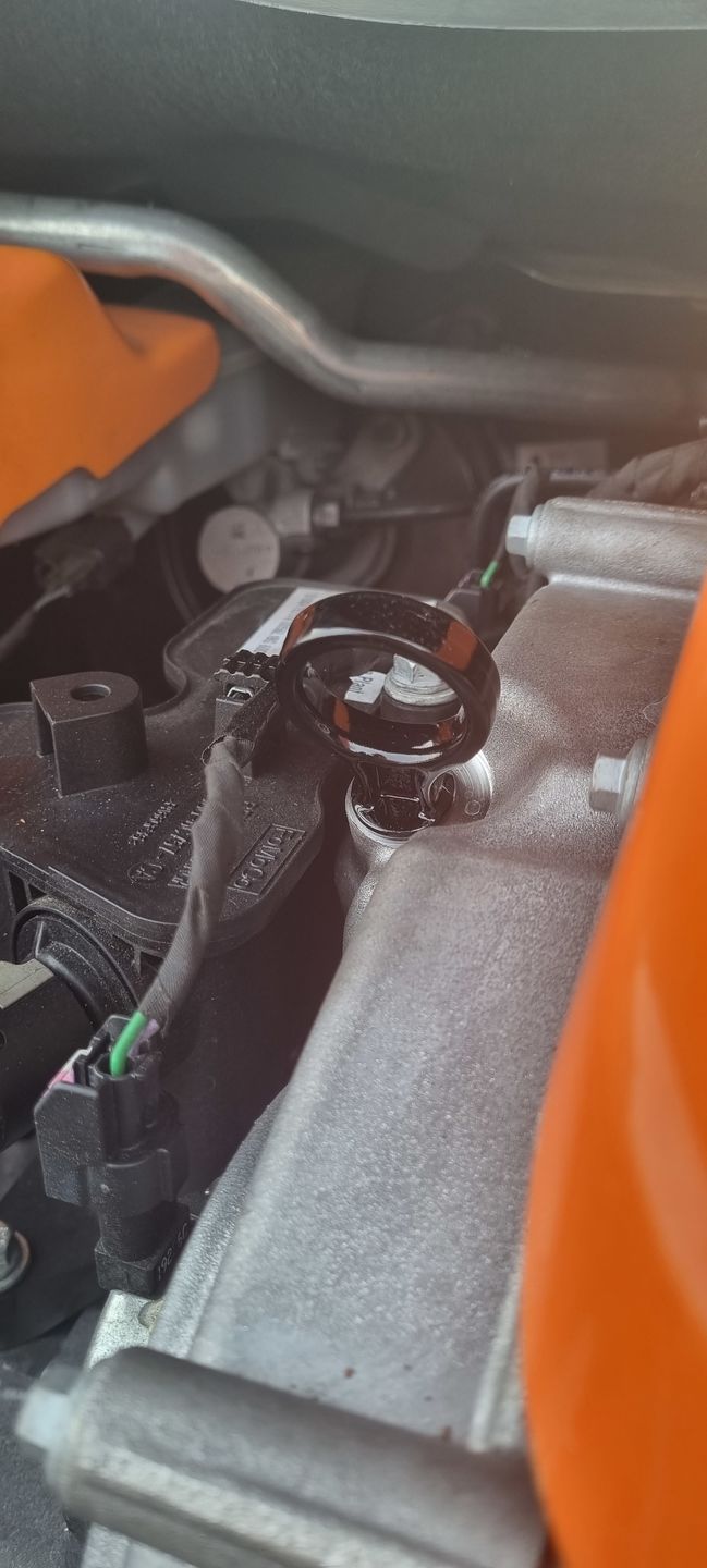 Customer photo review of Dipstick - 1.0 Ecoboost Engine