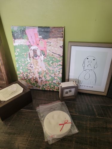 Customer photo review of Custom Paint by Numbers Kit