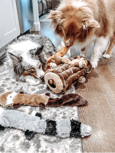 Customer photo review of No Stuffing Squeaky Plush Dog Toy