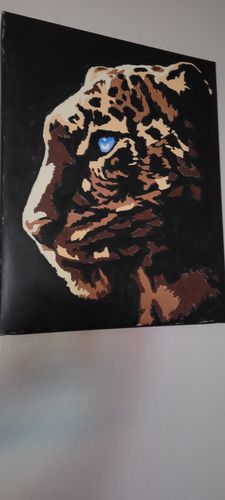 Customer photo review of Cheetah
