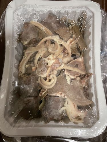 Customer photo review of [Moobongri] Assorted Korean Blood Sausage for 2 serving