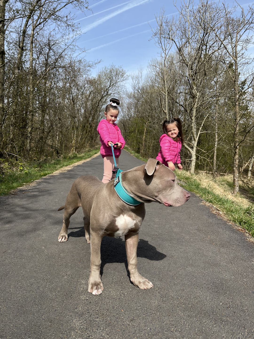 Customer photo review of 5cm RR Collar | Soft Padded & Reflective | Series 2 - Turquoise
