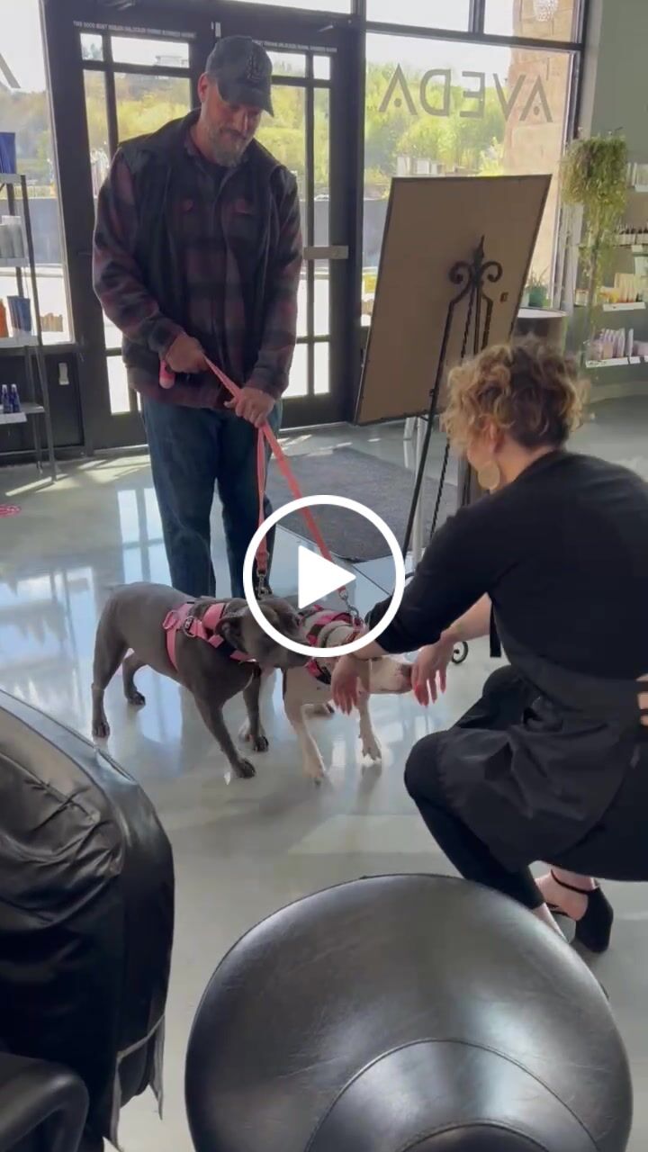 Customer video review of Double Ended Training Lead | All Breeds - Durable & Soft 2m Lead - Pink