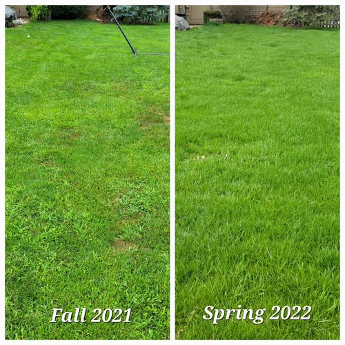 Customer photo review of GCI Turf Spreader Elite Grass Seed