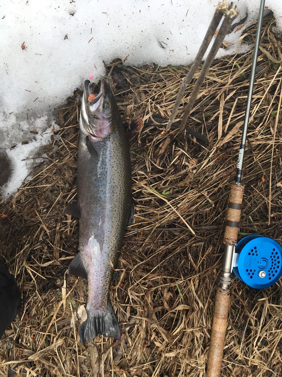 Customer photo review of Custom Float Build