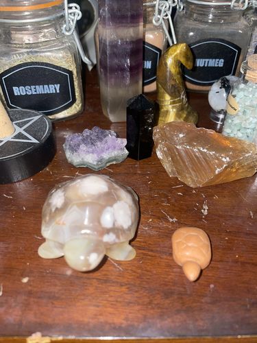 Customer photo review of Flower Agate Turtle