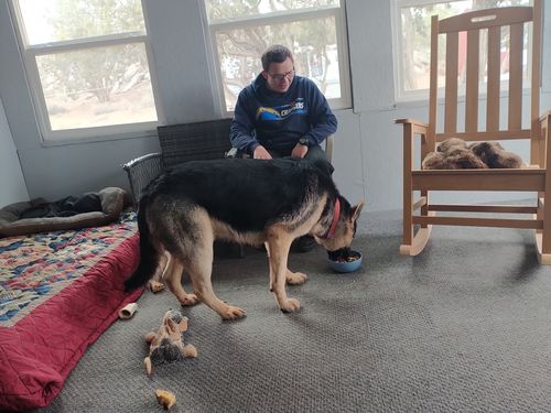 Customer photo review of Salmon Omega Soft Chew Bites for Dogs - 120 Count