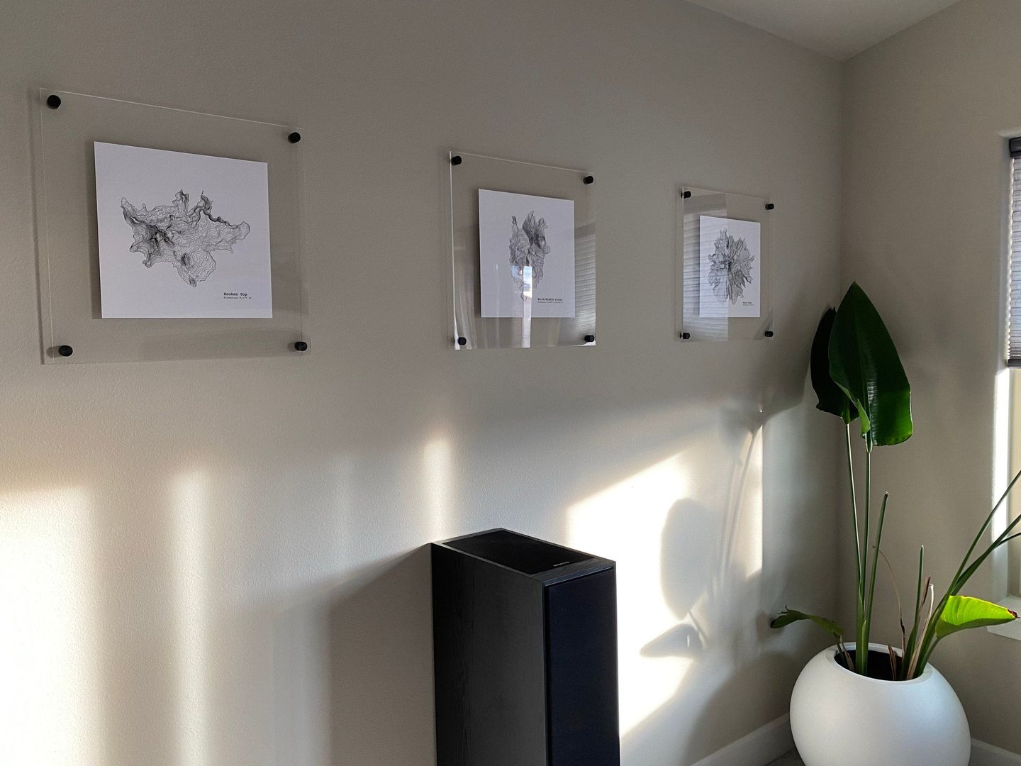 Customer photo review of Acrylic Floating Frame
