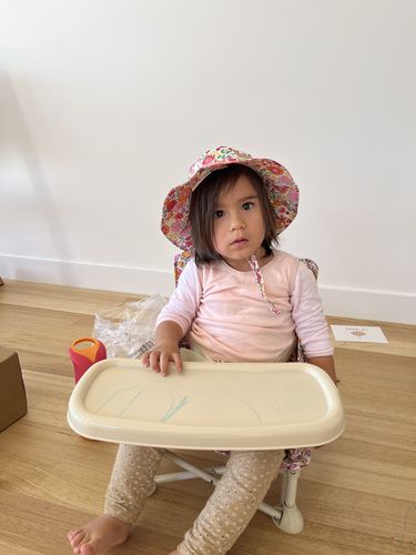 Customer photo review of Paloma baby chair v2
