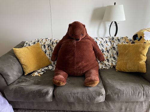 Customer photo review of SKOGGY BEAR